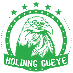 logo Holding GUEYE